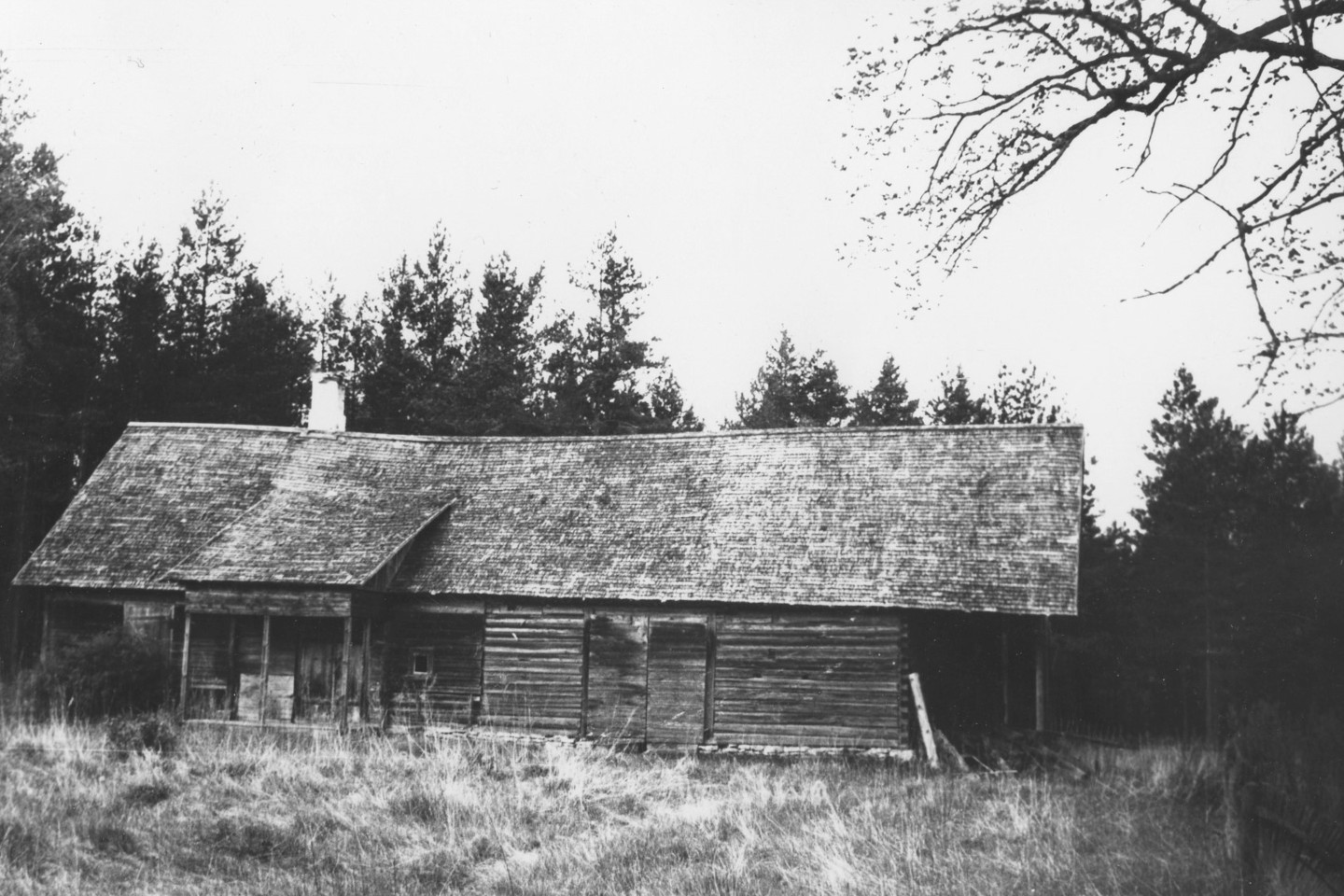 mustvalge foto palkmajast,taustal mets