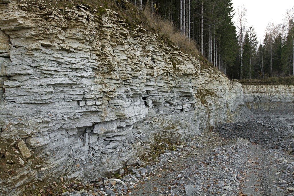 EIVERE karjääri S-paljand.jpg